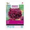 Buzzy Poppy Fiori Papavero Nero Semi di Peonia - Circa 0,08 Anteprima dell’immagine prodotto 1
