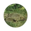 MuchoWow® Mauspad Mousepad Igel - Gras - Baby 50x50 cm - Produktbild-Vorschau 1