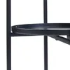 A close-up shot of a black metal plant stand with a circular shelf. Voir les images du produit