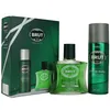 Set regalo Brut 100 ml di dopobarba + 200 ml di deodorante Anteprima dell’immagine prodotto 7