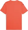 Puma Teamultimate Trikot Kurzarm Herren - Neonorange Produktbild-Vorschau 2
