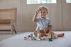 PlanToys Drevené hracie kreatívne bloky-Orchard Náhľad obrázku produktu 5