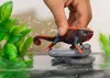 Schleich Wild LIfe Chamaeleon 14858 Produktbild-Vorschau 6