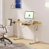 Bureau réglable en hauteur FLEXISPOT QE1, plateau monobloc, Voir les images du produit 2