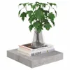 vidaXL Schweberegale 4 Stk. Betongrau 23x23,5x3,8 cm MDF Anteprima dell’immagine prodotto 10