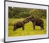 MuchoWow® MuchoWow® Gerahmtes Poster Elefant - Gras - Tiere Produktbild-Vorschau 1
