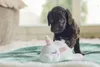 Beeztees Hundespielzeug Puppy Einhorn Owen weiß Produktbild-Vorschau 6