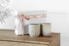 like. by Villeroy & Boch Perlemor Sand Becher Set 2tlg. Produktbild-Vorschau 15