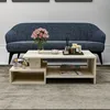HOMIDEA DUX Table basse de salon avec rangement, design Voir les images du produit 4