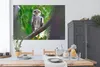 MuchoWow® Poster Eule auf Ast sitzend 180x120 cm - Produktbild-Vorschau 3