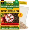 SF Nematoden gegen Apfelwickler -6 Mio.: Für 12 m² Produktbild-Vorschau 1