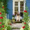 Relaxdays Rosenbogen, Metall, Torbogen Garten, HxBxT: 224 x Produktbild-Vorschau 3