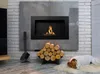 A modern living room with a fireplace, logs, and a dog sleeping on a rug. Produktbild-Vorschau