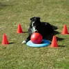 PROCYON Dog Golf Set Produktbild-Vorschau 4