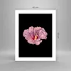 Poster - Poster ohne Rahmen - Hibiskus Blume Rosa - 40x50 Produktbild-Vorschau 4