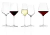 Stölzle Lausitz Set di 6 calici da champagne STARlight Anteprima dell’immagine prodotto 8
