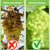 Trauben-Schutzbeutel 100 Stück, SzonMcnl Obstschutzbeutel Produktbild-Vorschau 4