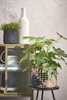 Mica Decorations Pia Vase - H47 x Ø13 cm - Paulownia-Holz - Produktbild-Vorschau 7