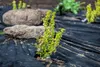 50m² Gartenvlies Unkrautvlies Unkrautfolie Mulchfolie Produktbild-Vorschau 9