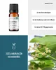 Kampfer (10ml) - naturreines, ätherisches Öl von wesentlich Produktbild-Vorschau 2