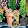 Biochar Dr.Soil, węgiel aktywny dla ogrodnictwa w worku o Podgląd zdjęcia produktu 4