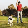 A man is playing fetch with a dog in a park. Anteprima dell’immagine prodotto
