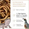 Supravit Mehlwürmer getrocknet 10kg | getrocknete Produktbild-Vorschau 2