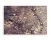 Fabelhafte Canvas LEINWAND BILDER 30x20 cm XXL Kunstdruck Produktbild-Vorschau 3