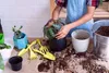 Gartenbau-Perlit 18L weiß, staubfrei, zur Bodenlockerung, Produktbild-Vorschau 4