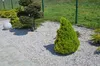 Best for Garden Trittsteine Granit Ziersplitt Grau 16-22 Produktbild-Vorschau 3