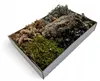 Aquarium Deko, Terrarium Dekorationsset Steppe Wuesten-Mix Produktbild-Vorschau 1