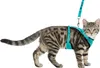 TRIXIE Mesh Y-Geschirr mit Leine - diverse - 39–60 cm/10 mm Produktbild-Vorschau 4