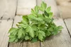 SAFLAX - Garden in the bag - Bio - Lubczyk - 100 Nasiona - Podgląd zdjęcia produktu 8