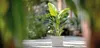 Blumentopf Untersetzer geli VIVA Square Kunststoff Ø 28 cm Produktbild-Vorschau 2
