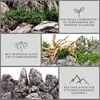 Aquarium Natursteine Mini Landschaft Seiryu Steine grau Produktbild-Vorschau 2