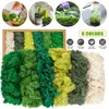 Islandmoos, Moos in 6 versch 240g für Moosbilder, Produktbild-Vorschau 3