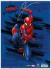 RNK Verlag 45391 Teczka rysunkowa RNK Verlag "Marvel Podgląd zdjęcia produktu 4