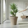 Kunststoff Pflanzkübel XXL groß - 58 cm/beige - Blumenkübel Produktbild-Vorschau 7