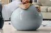 Nukido Těhotenský aerobní míč 65 cm NS-951 šedý Anteprima dell’immagine prodotto 9
