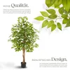 tectake® Künstlicher Ficusbaum Fida verschiedene Größen Produktbild-Vorschau 3
