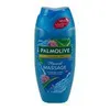 Duschgel Palmolive | Thermal Spa Mineral Massage | Meersalz & Aloe | 250 ml Voir les images du produit