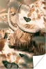 MuchoWow® Poster Schottische Hochlandrind - Sonne - Produktbild-Vorschau 1