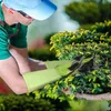 1 Paar lange Gartenhandschuhe, dornenfest, ideal für Produktbild-Vorschau 4