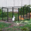Two rabbits, one white and one brown, are inside a black metal playpen set up on grass with a concrete wall in the background. Voir les images du produit