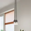 Závěsné svítidlo DIEGO 1 šedé 1xE27 15W PVC 90x9x9cm Sollux Náhled obrázku produktu 14