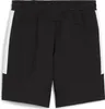 Puma Teamevostripe Sweatshorts Herren - Schwarz Produktbild-Vorschau 2