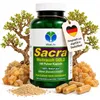 Weihrauch Boswellia Sacra GOLD 720 (4x180) Pulver Kapseln Produktbild-Vorschau 11