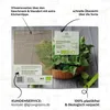 Brennnesselsamen - Heilkräuter Saatgut aus biologischem Produktbild-Vorschau 5