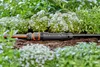 Micro-Drip-System Basisgerät 1000 (schwarz, Modell 2023) Produktbild-Vorschau 10