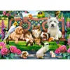 Castorland Pets in the Park 1000 pcs, 1000 Stück(e), Tiere, Produktbild-Vorschau 1